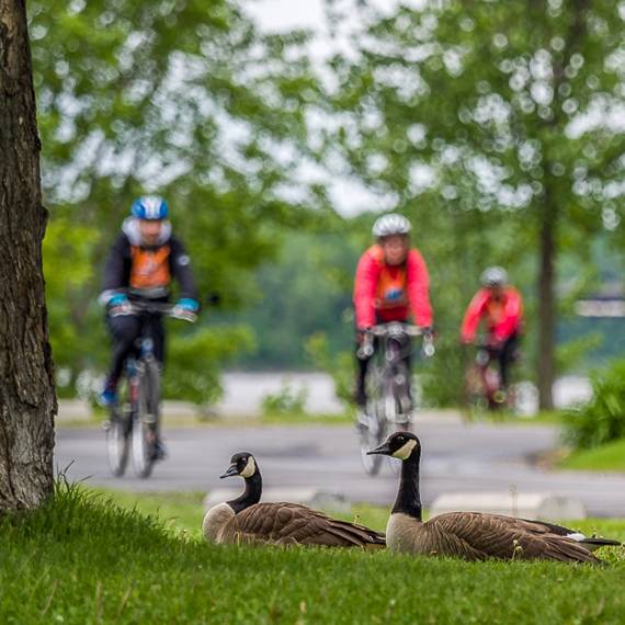 Cyclistes au Festival Go vélo Montréal